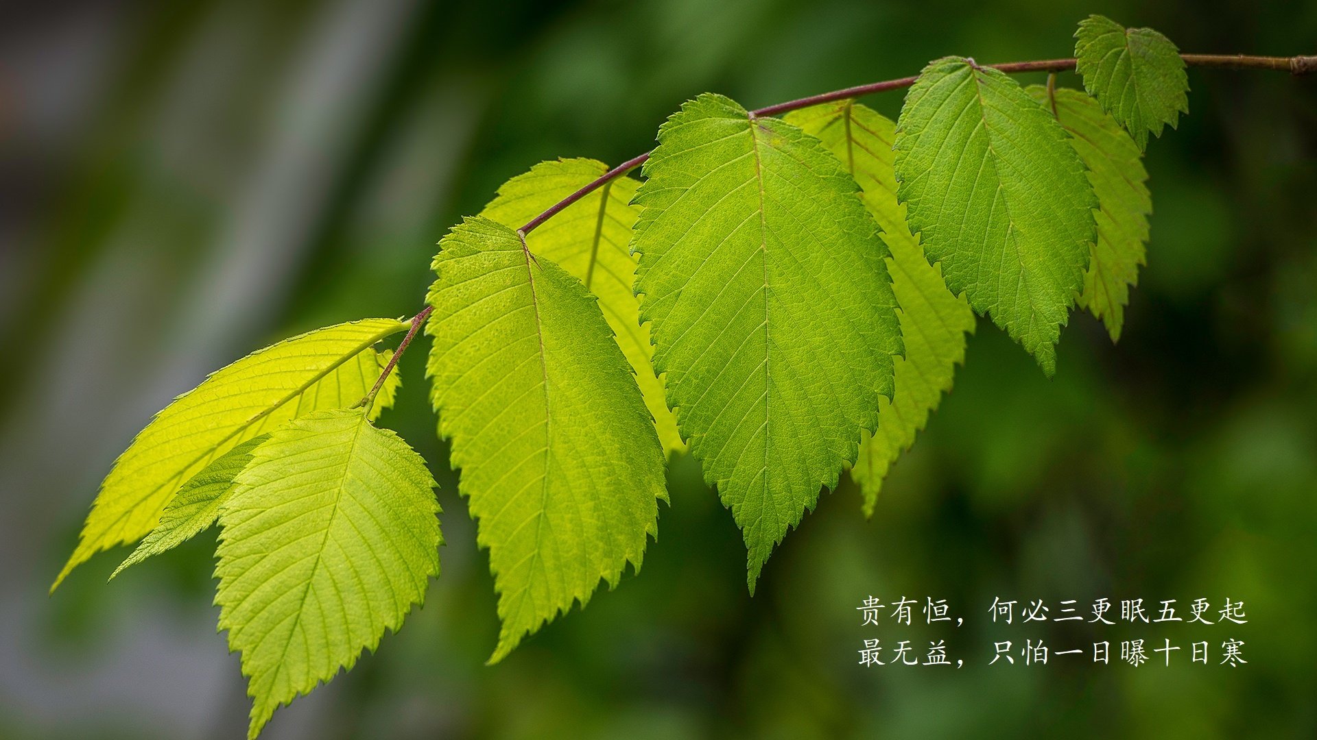 德赢体育娱乐平台-史上最震撼的“曾经的冠军”逆袭记，韩国纪录片逆袭冠军