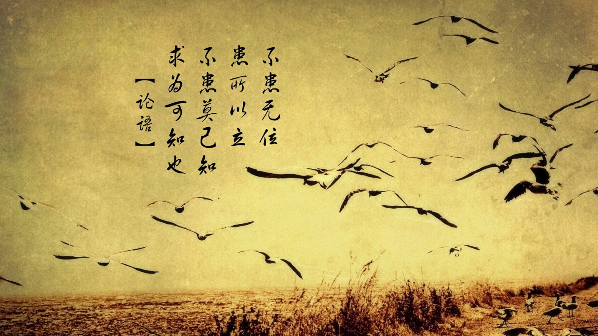 vwin德赢网页版-摩纳哥缺乏创造力，需加强进攻训练，摩纳哥队有摩纳哥人吗