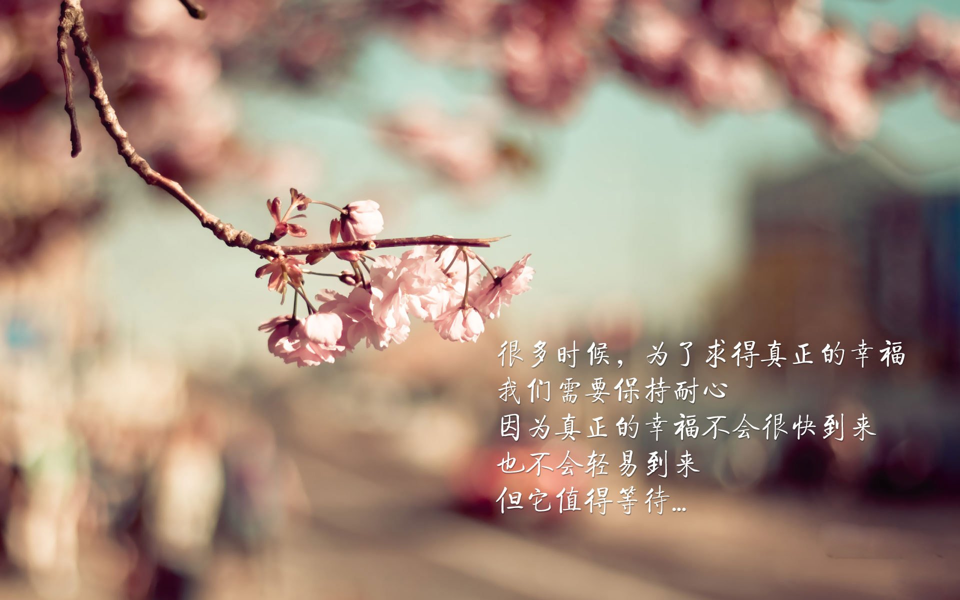 摩纳哥门将连续扑出关键球，帮助球队保持不败，摩纳哥门将连续扑出关键球,帮助球队保持不败球权
